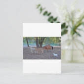 Leven op de ranch briefkaart (Staand voorkant)