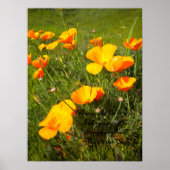 Leven Poster (Voorkant)