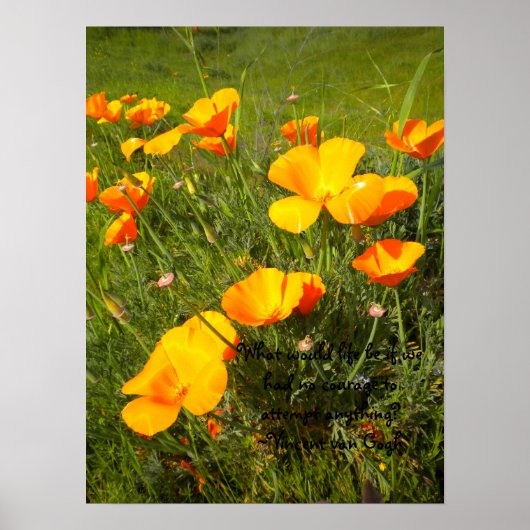 Leven Poster (Voorkant)