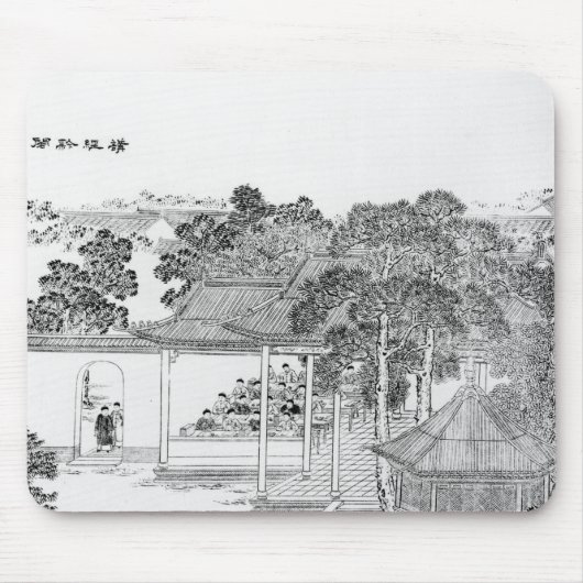 Leven van een Mandarijns Muismat (Voorkant)