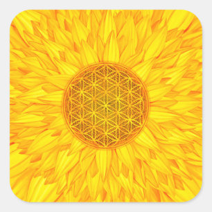 Leven - Zonnebloem #3 Vierkante Sticker