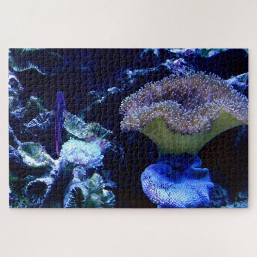 Levend aquarium legpuzzel (Horizontaal)