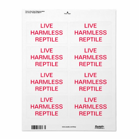 LEVEND HERMLOOS REPTIEL ETIKET (Full Sheet)