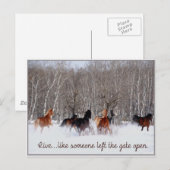 Levend leven...Alsof iemand de poort open heeft ge Briefkaart (Voorkant / Achterkant)