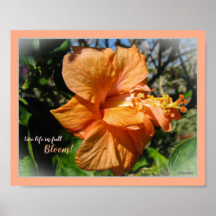 Levend leven in het bloem Floral Hibiscus Poster
