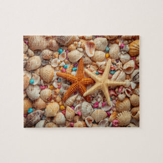 Levend Stilleven van Schelpen op Teal Achtergrond Legpuzzel