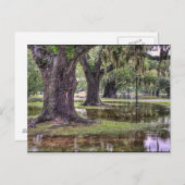 Levende eikoverstroming briefkaart (Voorkant / Achterkant)