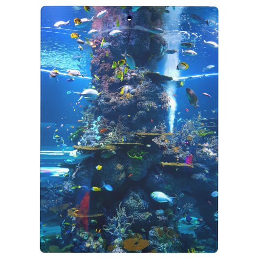 levende koraalrif met vis klembord (Achterkant)