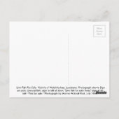 Levende vis voor verkoop briefkaart (Achterkant)