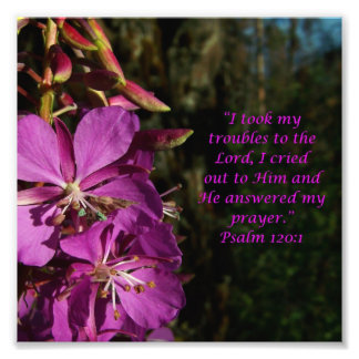 Levendig Flower Scripture Psalm 120:1 Foto afdrukk Afdruk