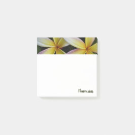 Levendig Hawaiiaans Plumerias-plein Post-it® Notes