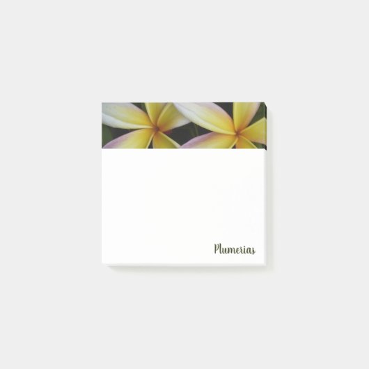 Levendig Hawaiiaans Plumerias-plein Post-it® Notes (Voorkant)