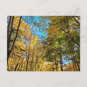 Levendig herfstbos met bomen briefkaart