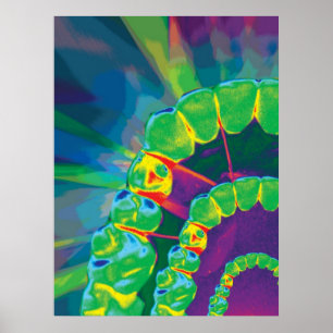 Levendig tandmodel voor tandarts kantoor poster