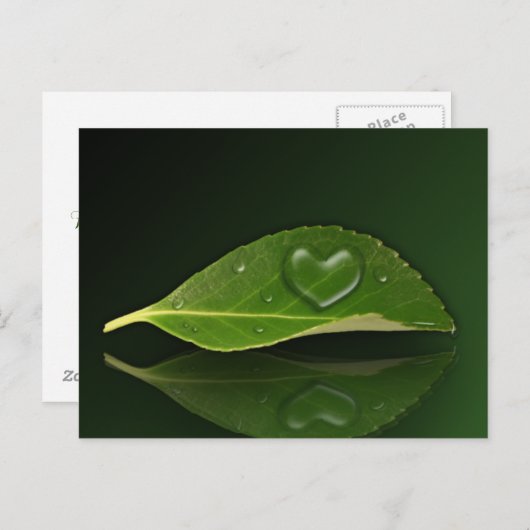 Levendig warm water op leder briefkaart (Voorkant / Achterkant)