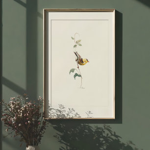 Levendige Amerikaanse Goldfinch Waterverf Art Poster
