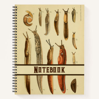 Levendige Antiek naaktslak Illustratie Natuurlijke Notitieboek