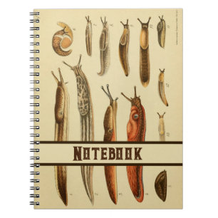 Levendige Antiek naaktslak Illustratie Natuurlijke Notitieboek