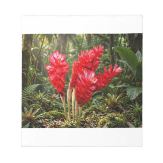 Levendige Botanische Gember Bloem Koffiemok Notitieblok