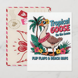 Levendige Cassowary Vogel Kunst Tropisch Jungle Il Feestdagenkaart
