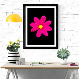 Levendige Cosmos Burst Foto Afdruk