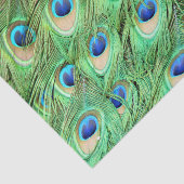 Levendige exotische peacock-veren tissuepapier (Detail)