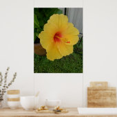 Levendige gele hibiscus bloei poster (Keuken)