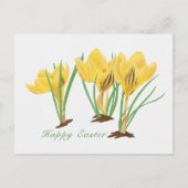 Levendige gele krokusbloemen Gelukkig Pasen Feestdagenkaart (Voorkant)