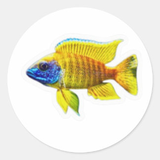 Levendige Gele Pauw Cichlide Vis Sticker, Afrika Ronde Sticker