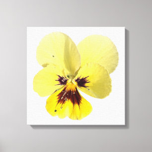Levendige Gele Viooltje Bloem Foto Canvas Muur Kun Afdruk