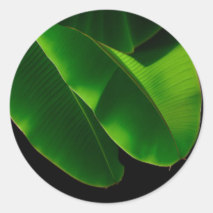 Levendige Groene Banaanblad Tropische Close-up Ronde Sticker