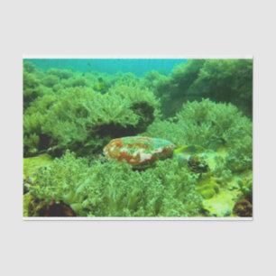 Levendige groene oceaan koraal en Zee schildpad Tissuepapier