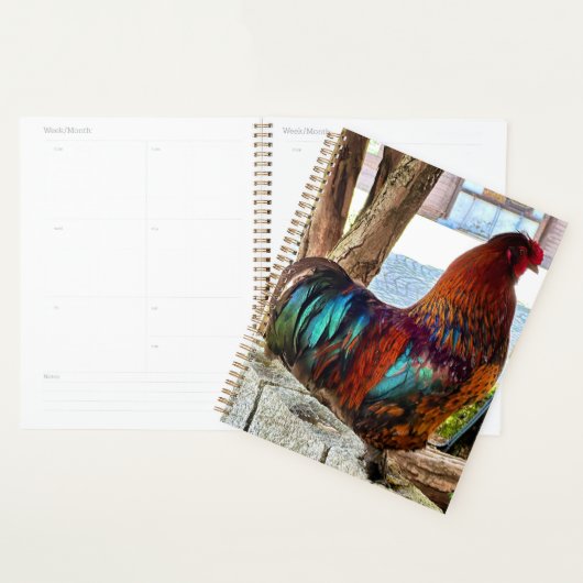 Levendige Haan Custom Planner (Display)