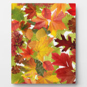 Levendige herfstbladcollage fotoplaat (Voorkant)
