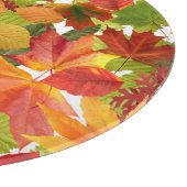 Levendige herfstbladcollage snijplank (Hoek)