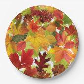 Levendige herfstbladeren collage papieren bordje (Voorkant)