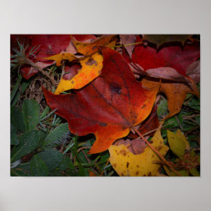 Levendige herfstbladeren poster