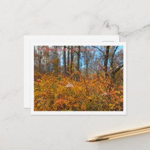 Levendige herfstboswandeling - Gouden bladeren & w Briefkaart