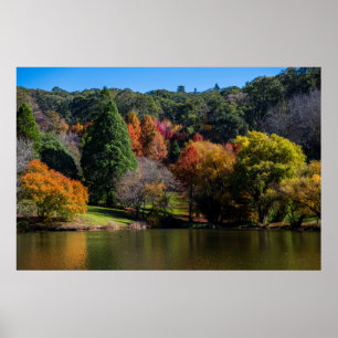 Levendige herfstkleuren Landschapsbomen Poster