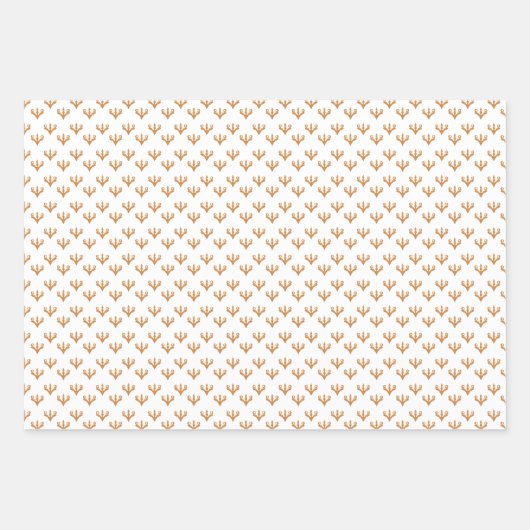 Levendige Indiaan Inpakpapier Vel (Voorkant)