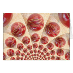 Levendige internationale cricket Red Leather Ball