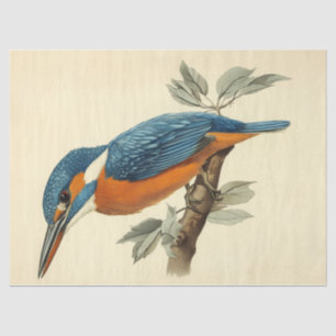 Levendige Kingfisher Waterverf Decoupage Vogelprin Tissuepapier
