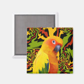 Levendige kleurrijke Sun Conure Parrot Magneet (Voorkant / Achterkant)