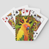 Levendige kleurrijke Sun Conure Parrot Pokerkaarten (Achterkant)