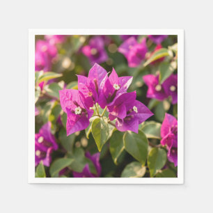 Levendige Magenta Paarse Bougainvillea Bloei Servet