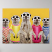 Levendige Meerkat Group in stijlvolle outfits Poster (Voorkant)