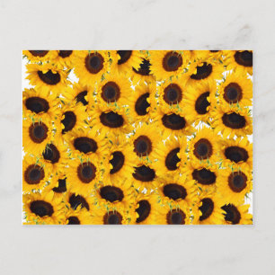 Levendige mooie zonnebloemen Natuur Floral Pattern Briefkaart