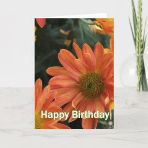 Levendige oranje dagbloemen gefeliciteerd met hun kaart