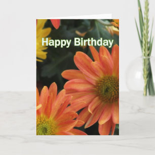 Levendige oranje dagbloemen gefeliciteerd met hun kaart