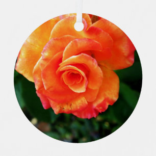Levendige Oranje Roos Foto Metalen Ornament